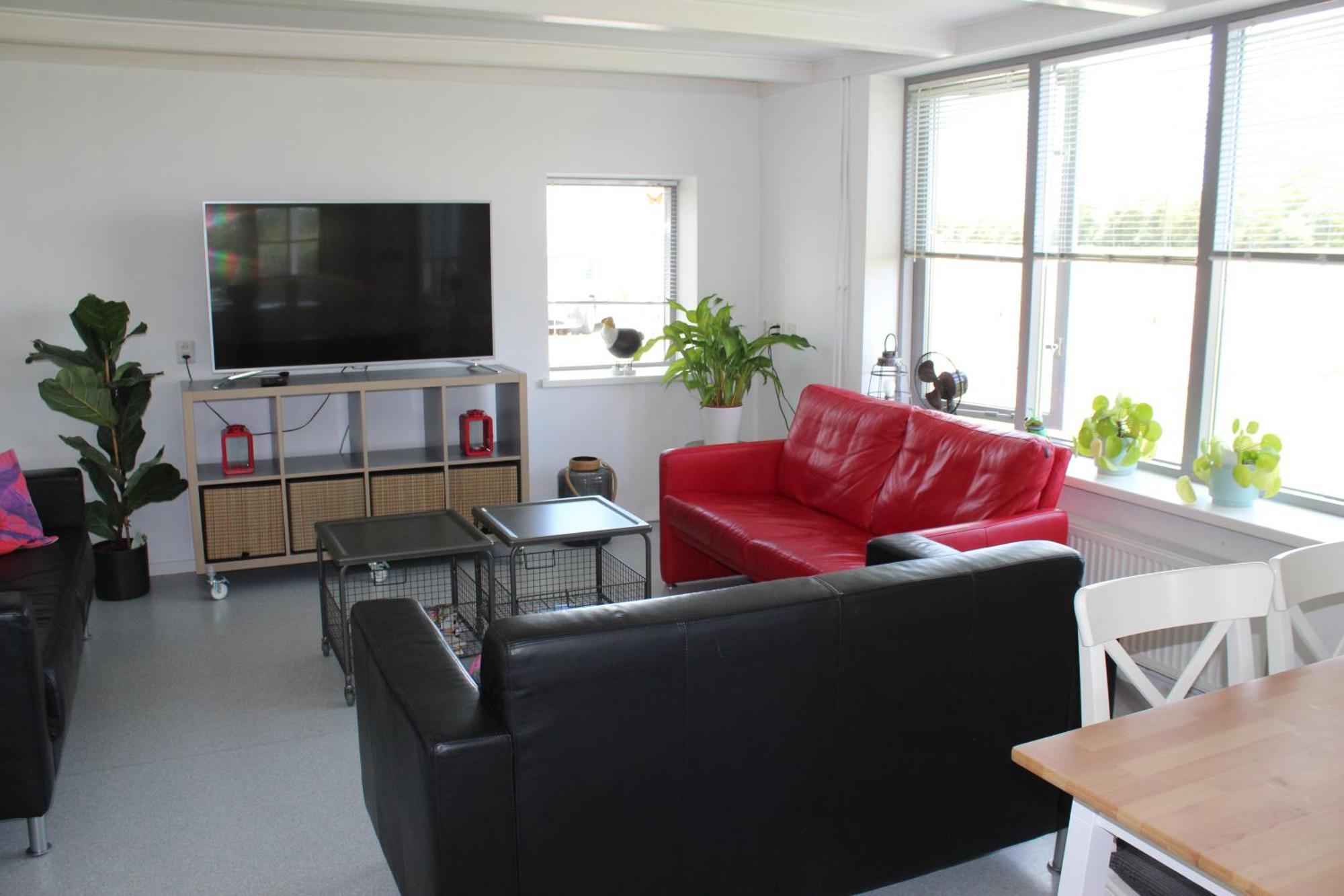 Vrijstaande Ruime Familiewoning Landelijk Gelegen Villa Lewedorp Exterior foto