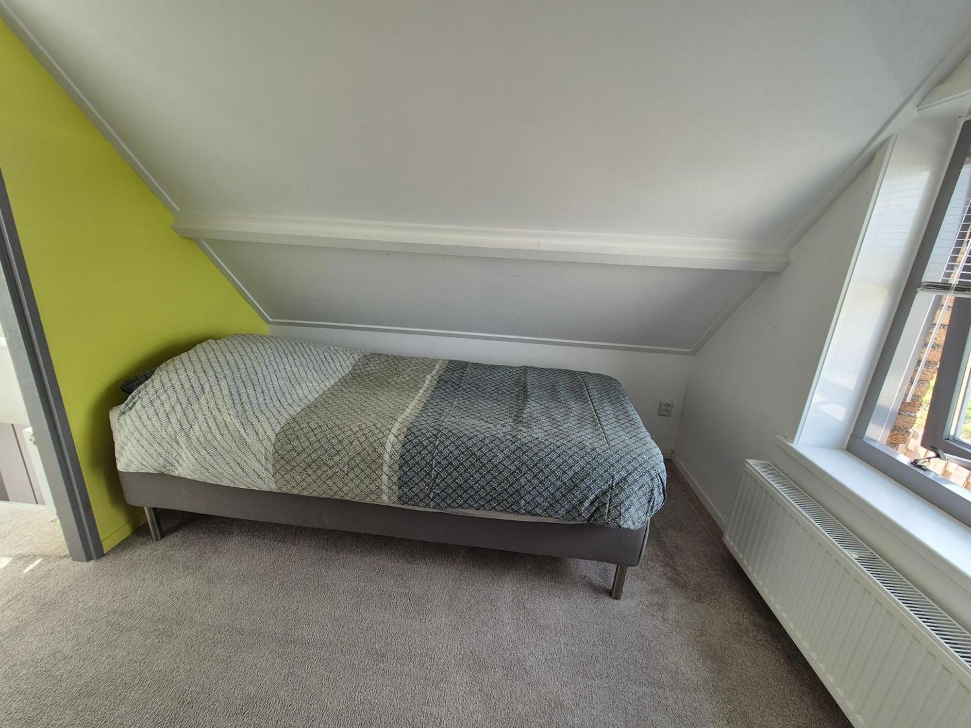 Vrijstaande Ruime Familiewoning Landelijk Gelegen Villa Lewedorp Exterior foto